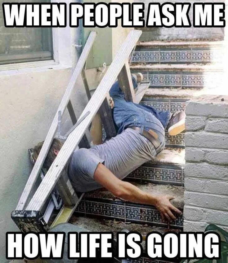 How is your life going