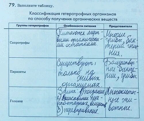 Классификация гетеротрофных организмов. Группы гетеротрофов особенности питания представители. Таблица группы гетеротрофов особенности питания представители. Группы гетеротрофных организмов таблица. Заполни таблицу группы водных организмов