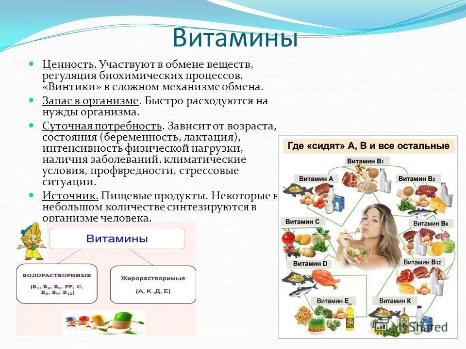Обмен веществ минеральное питание. Обмен веществ и энергии витамины. Витамины для обмена веществ. Витамин к участие в обменных процессах. Роль витаминов в обменных процессах.