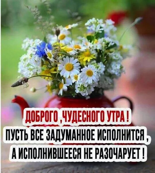 Пожелание доброго мартовского утра пятницы. Доброго пятничного утра и отличного настроения. Доброе утро пятницы хорошего дня. С добрым утром пятницы пожелание. Доброе утро пятничное настроение.