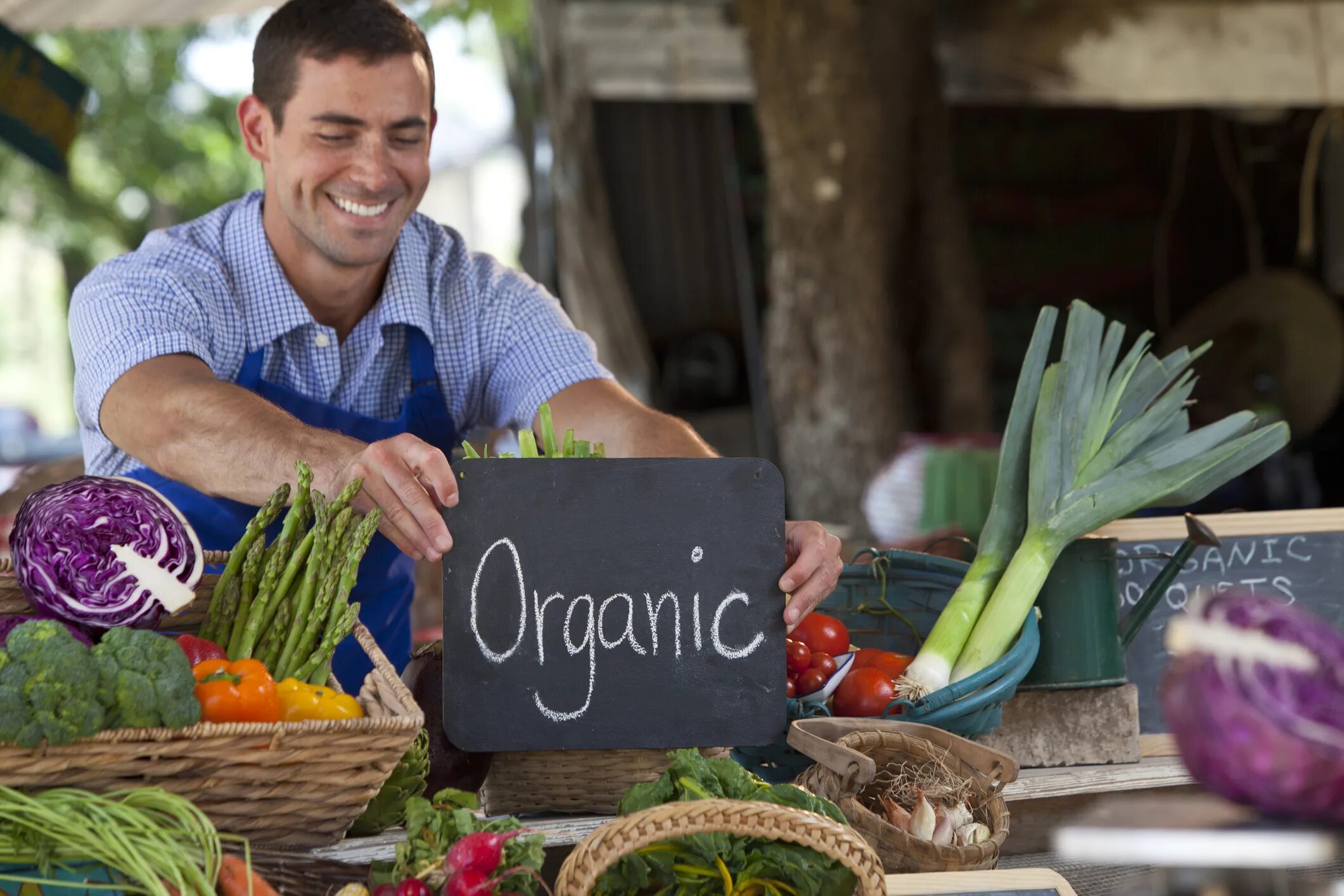 Производство чистой продукции. Органические продукты. Органическое сельское хозяйство. Экологически чистая пища. Органическая еда.