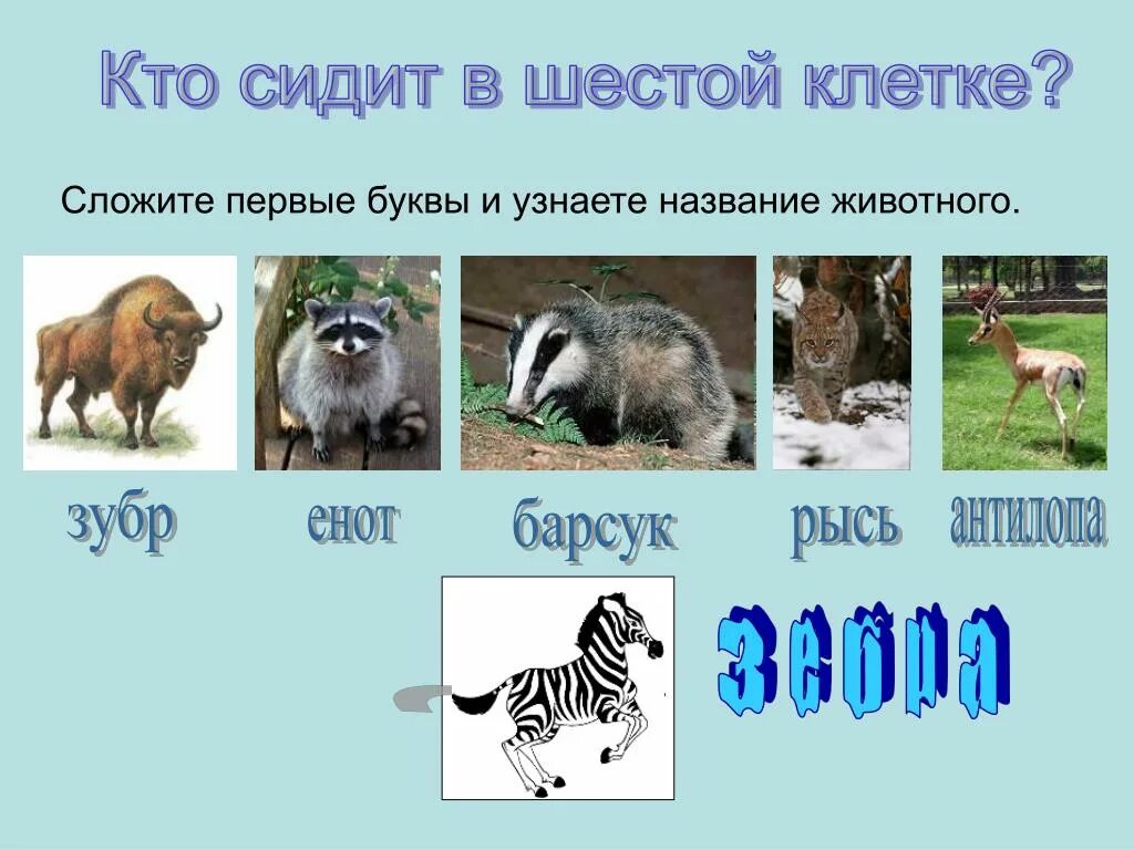 Назови животное на б. Название зверей. Животные на букву а. Какие животные есть на букву ю. Звери на букву б.