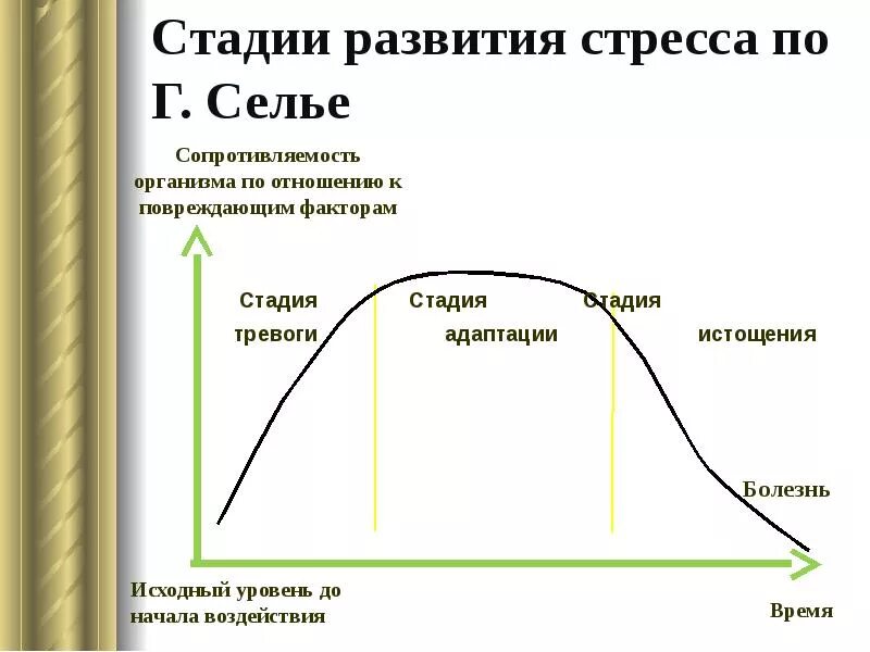 Фазы стрессовой реакции