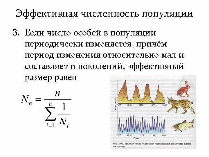 Численность особей равна