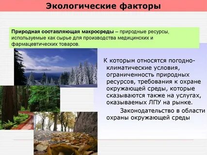 Природные условия в экологии