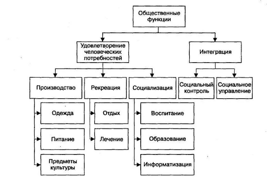 Публичные функции организаций. Функции общественных зданий. Типология и классификация организаций. Типы организаций по признаку выполняемых функций. Функции общественных объединений.