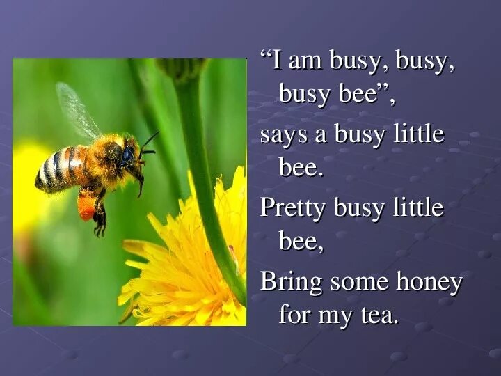 My mum is like a bee because. Busy Bee. Идиома busy Bee. I am busy busy Bee. Busy as a Bee идиома.