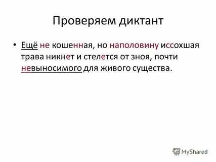 Никем не скошенная