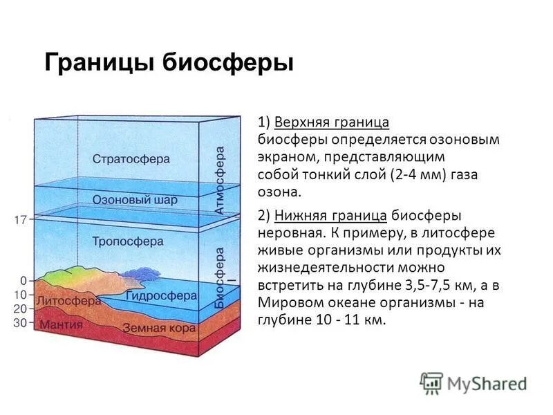 Область распространения живых организмов. Границы биосферы земли схема. Границы биосферы литосферы гидросферы. Биосфера состав и строение. Нижняя граница биосферы.