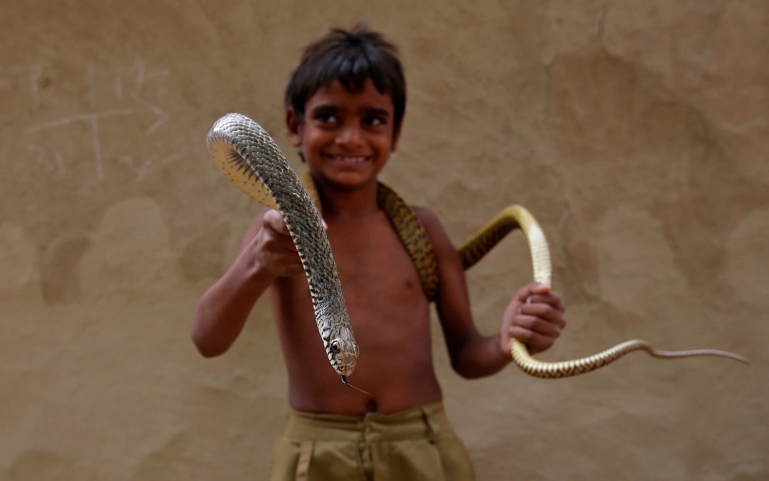 Покажи человек змея. Заклинатели змей в Индии. Древняя Индия заклинатели змей. Индийская школа заклинателей змей. Верещагин Заклинатель змей.