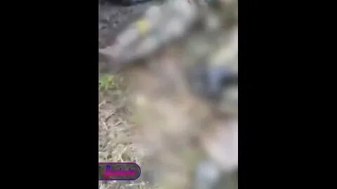 Польских наемников уничтожили