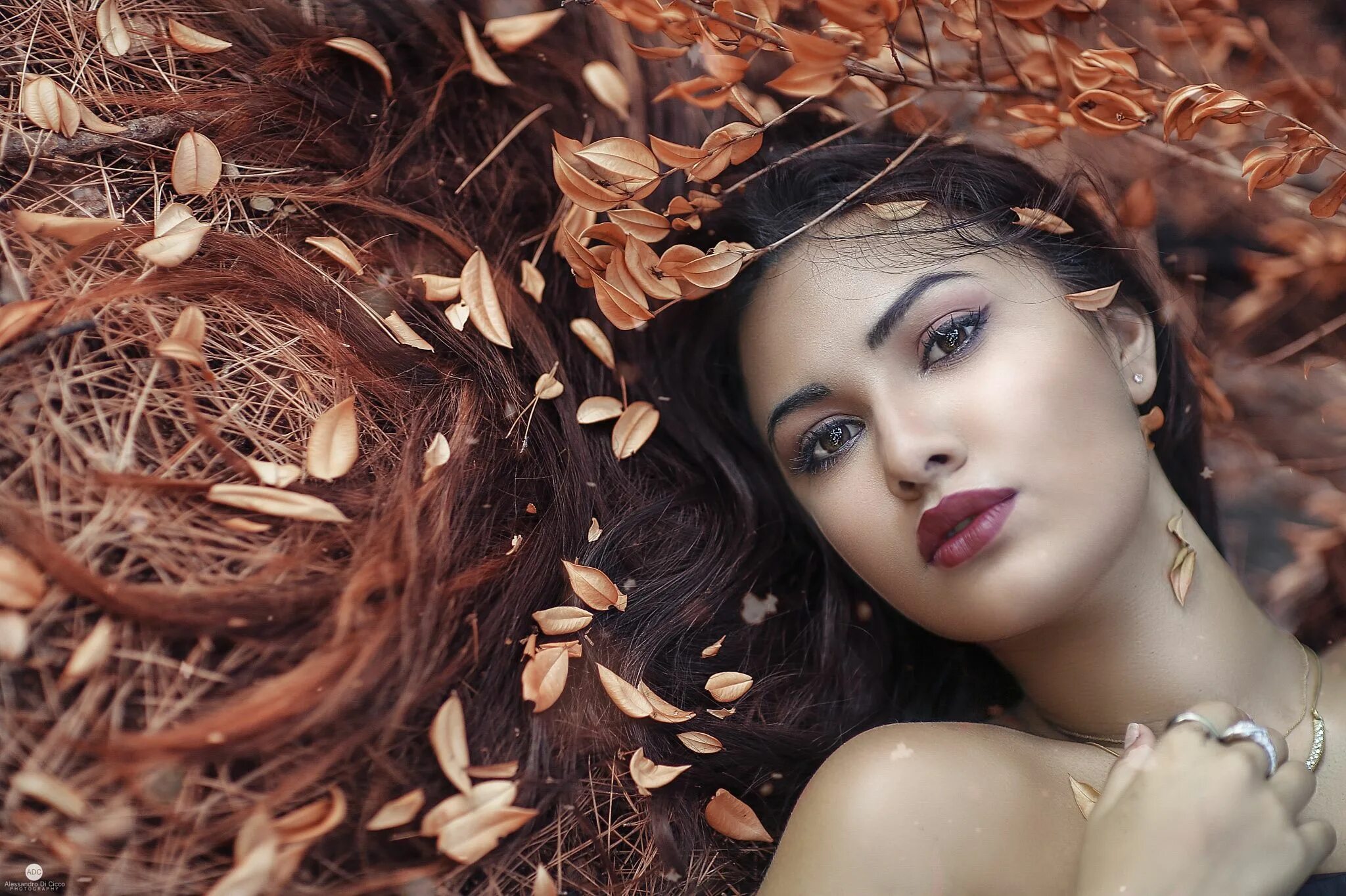 Beauty desire. Пентхаус малена морган. Beauty desire. Beauty desire. Вечерний макияж.
