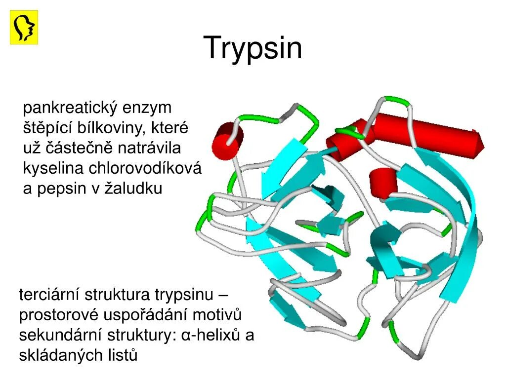 Трипсин кристаллический применение. Трипсин структура. Трипсин из трипсиногена. Трипсин строение. Трипсин фермент.