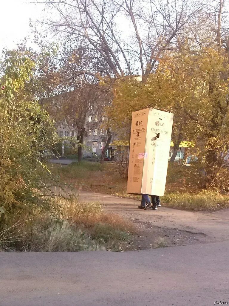 Смешные комиксы. Без логичные. Без логичные. Логик комикс. Логические шутки.