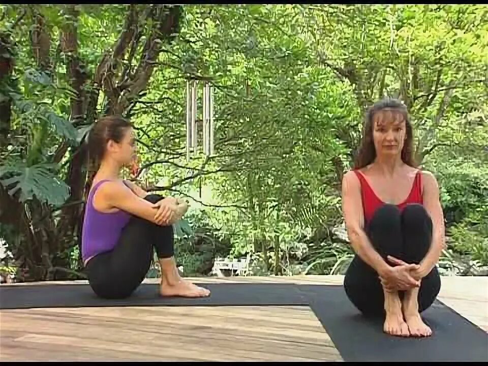 Рейчел зинман йога. Йога для начинающих louisa sear rachel zinman. Йога для начинающих louisa sear rachel zinman. Зинман йога. Йога для начинающих с луизой сиар и рейчел зинман 1 урок.