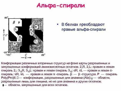 Спирали белка