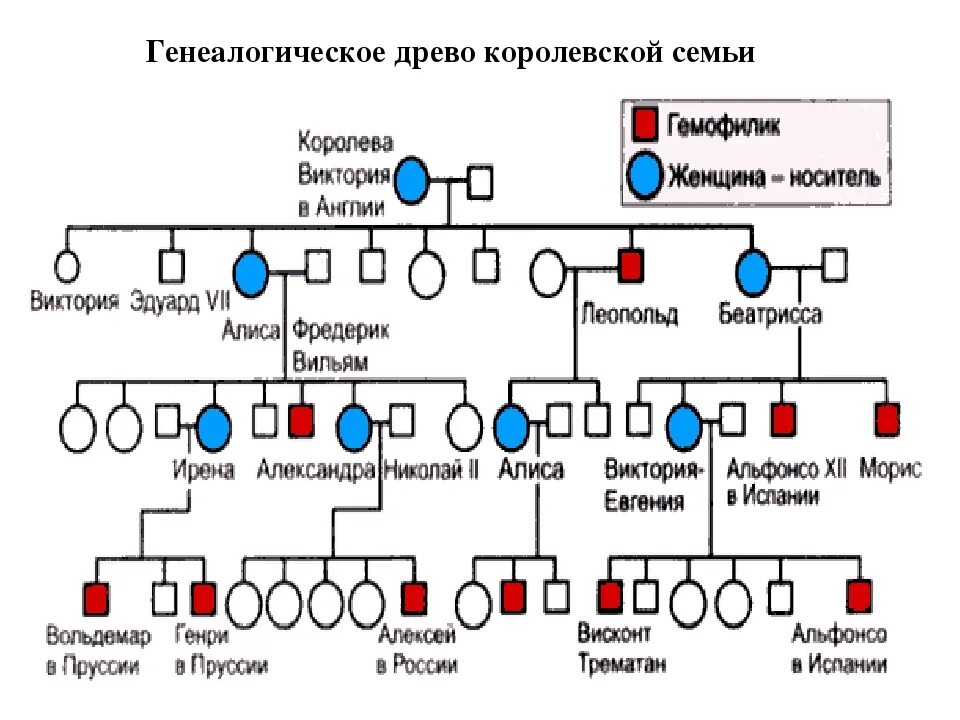 Родословная схема по генетике цвет глаз. Родословная схема биология 10-11 класс. Родословная составление генетика. Родословная по генетике биология 9 класс.