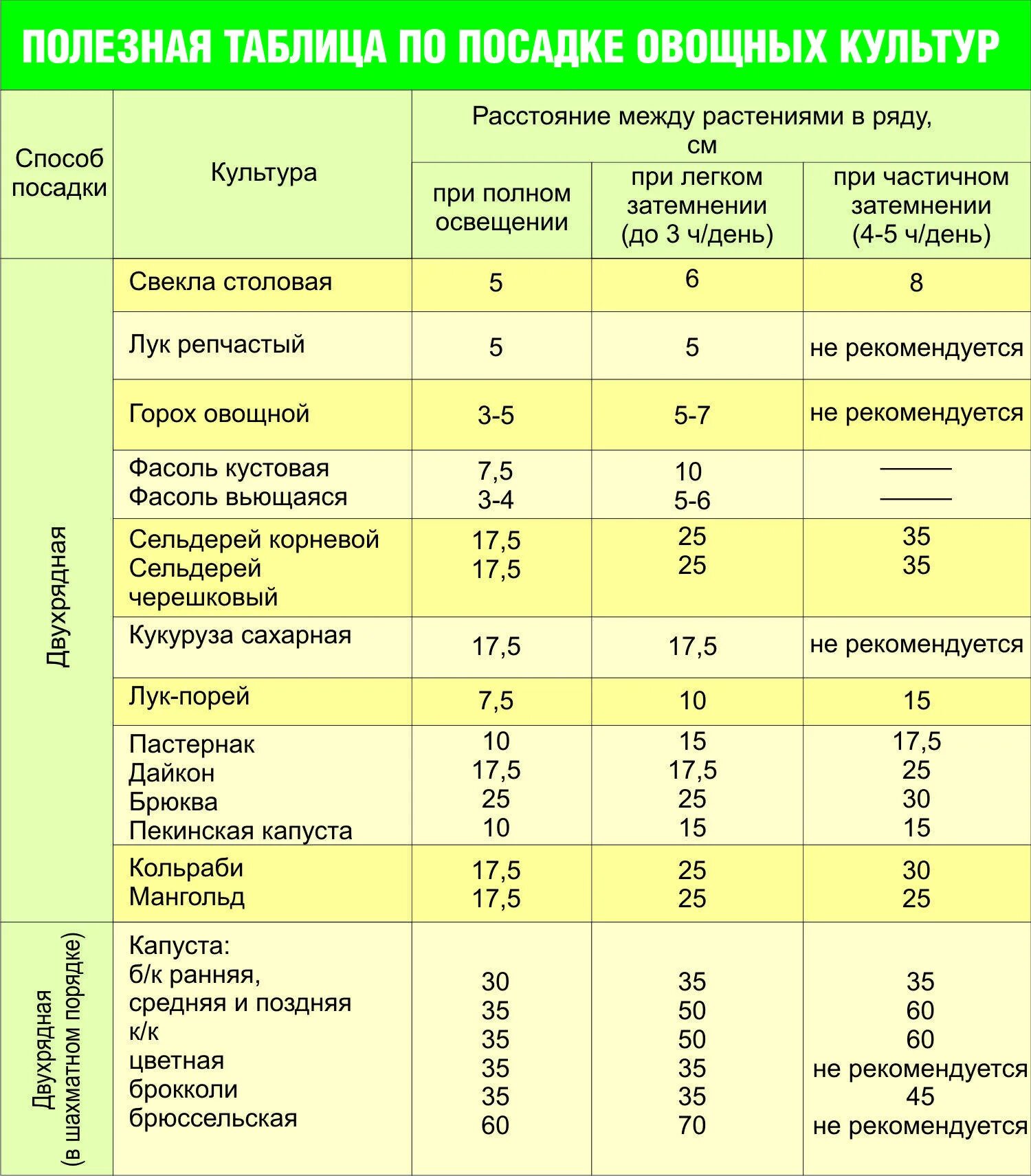 Семена каких растений сохраняют жизнеспособность меньше всего. Сроки посева овощных культур таблица. Таблица высадки овощей на рассаду. Таблица посадки овощей в открытый грунт. Таблица овощей для высадки в грунт.