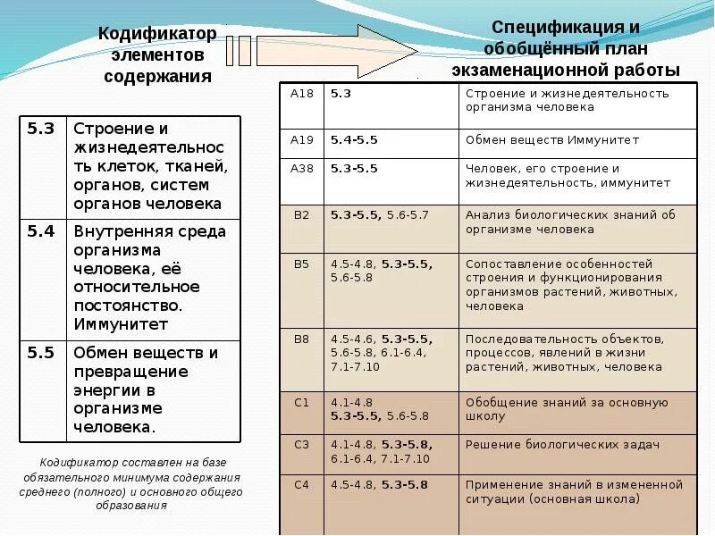 Кодификатор егэ обществознание 2024 год. Кодификатор элементов содержания. Кодификатор Обществознание. План экзаменационного проекта. Экономика ОГЭ кодификатор.