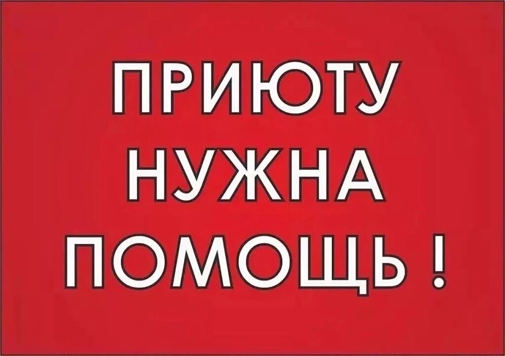 Включи очень нужно. Приюту нужна помощь. Приюту срочно нужна помощь. Нужна помощь картинка. Прошу помощи картинки.