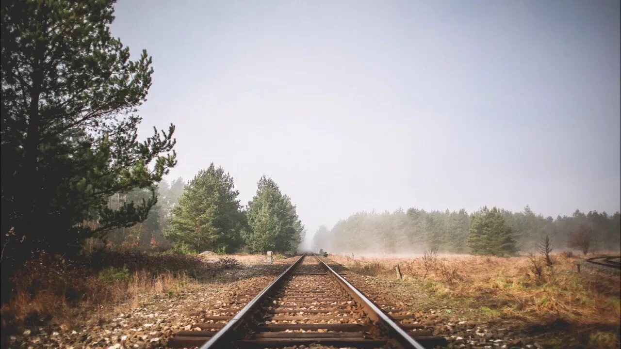 Getting back on track