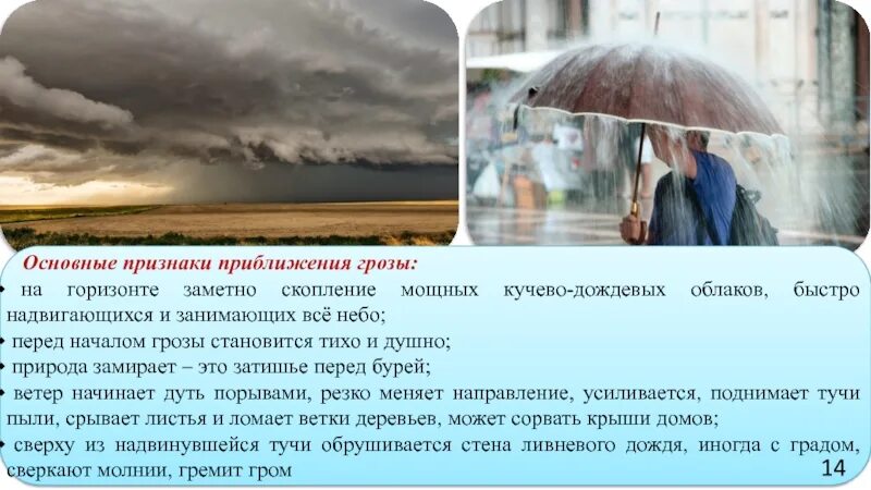 Какой признак дождя. Признаки грозы. признаки приблежение грозы. признаки приближающей грозы. признаки надвигающейся грозы.