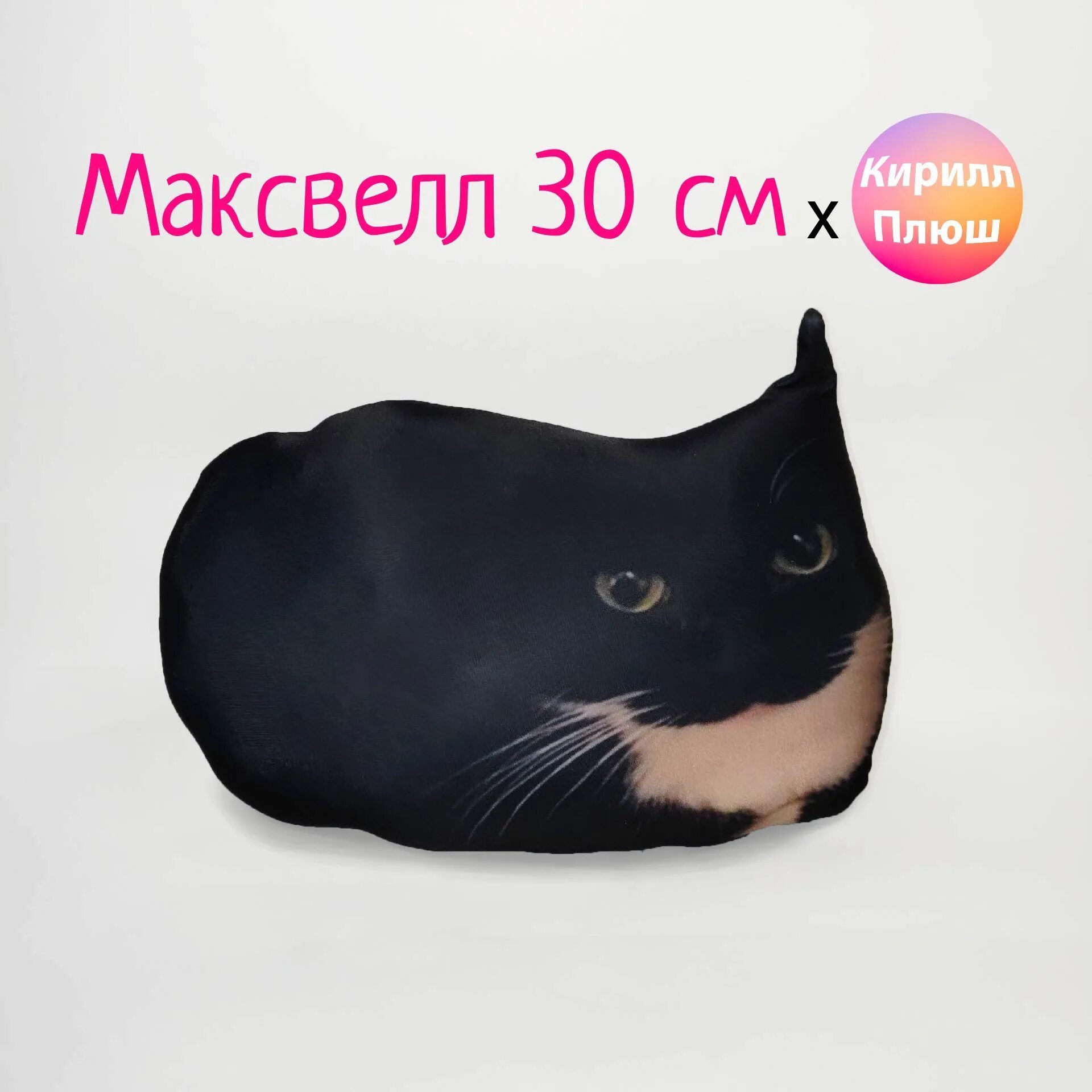Maxwell the Cat Theme 10 hours - YouTube