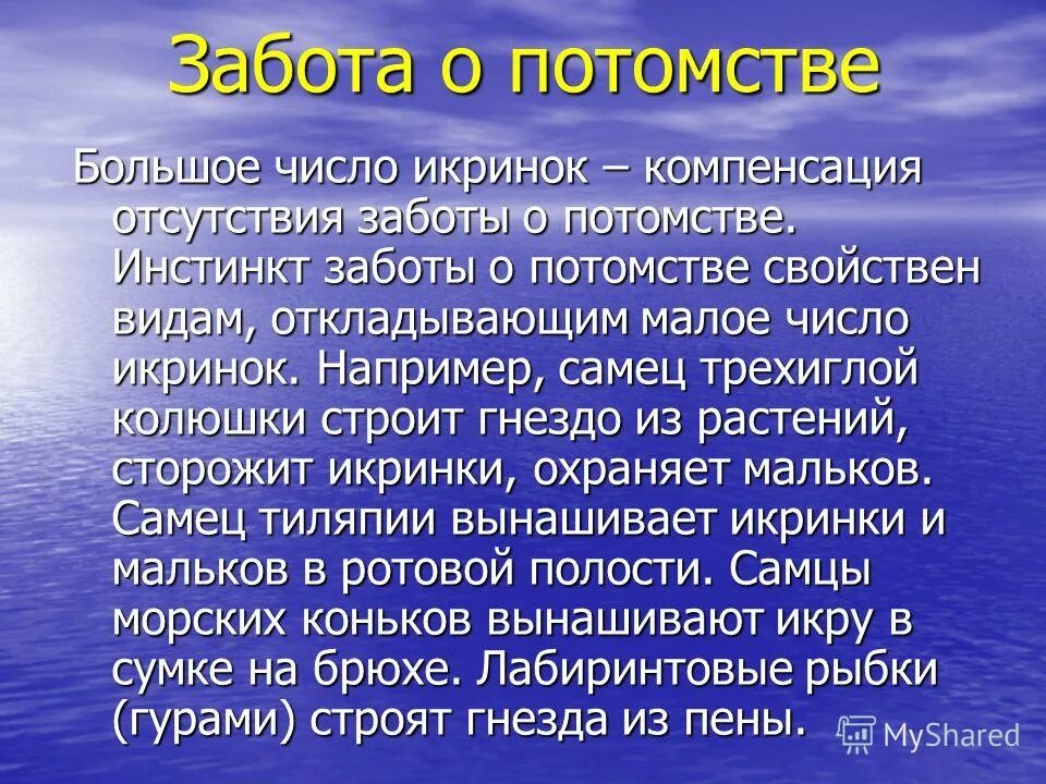 Презентация на тему "Птицы Забота о потомстве" - скачать презентации по Биологии