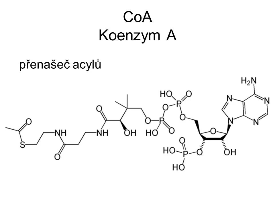 Коэнзим а биохимия структура. Ацетилкоэнзим а формула. KOA кофермент витамин. Ацетил КОА структурная формула.