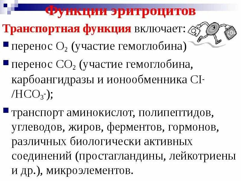 2 функция эритроцитов. Роль эритроцитов в транспорте газов крови. Функции эритроцитов физиология. Роль эритроцитов в переносе газов. Функции эритроцитов в крови физиология.