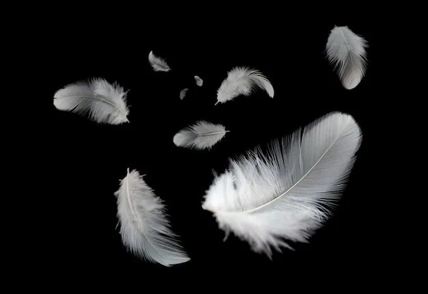 Flying feather