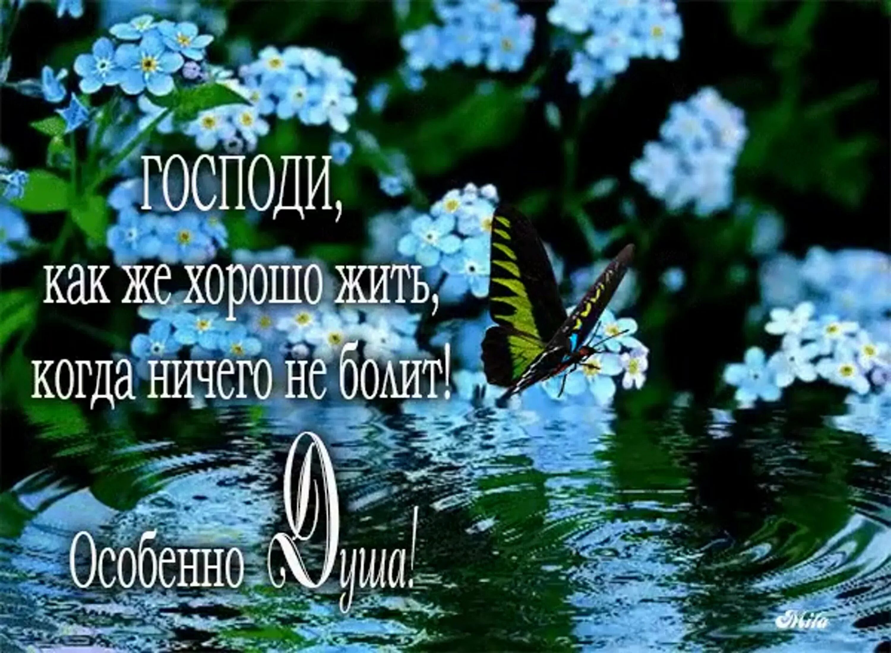 Доброе утро картинки православные весенние. Христианские пожелания на каждый день. Христианские пожелания с добрым утром. Хорошие пожелания на каждый день. Православные пожелания на день.