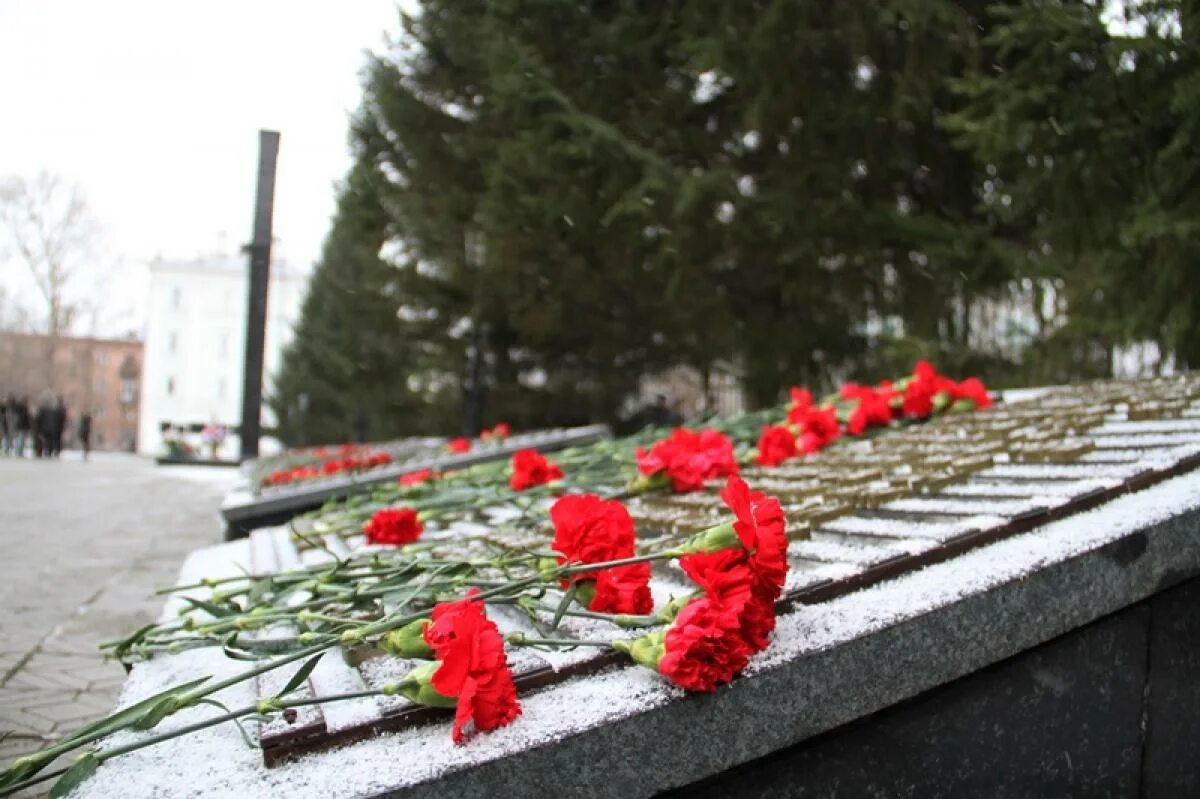 Памяти погибших. 8 Ноября день памяти погибших сотрудников органов внутренних дел. День памяти погибших сотрудников органов внутренних дел РФ. 8 Ноября день памяти погибших сотрудников МВД. День памяти погибших сотрудников ОВД.