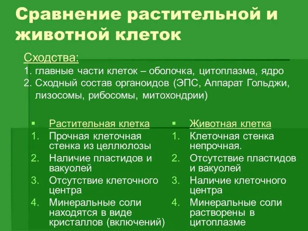 Строение клеток сходство и различие. Растительная клетка животная клетка отличие сходство. Сравнение строения растительной и животной клетки. Сравнить различия строения растительной и животной клетки. Сходства и различия растительной и животной клетки.