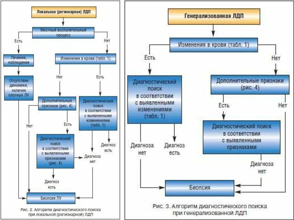 Лимфаденопатия алгоритм. Диагностический поиск при лимфаденопатии. Лимфаденопатия патогенез. Этиология лимфаденопатии. Лимфаденопатия это простыми