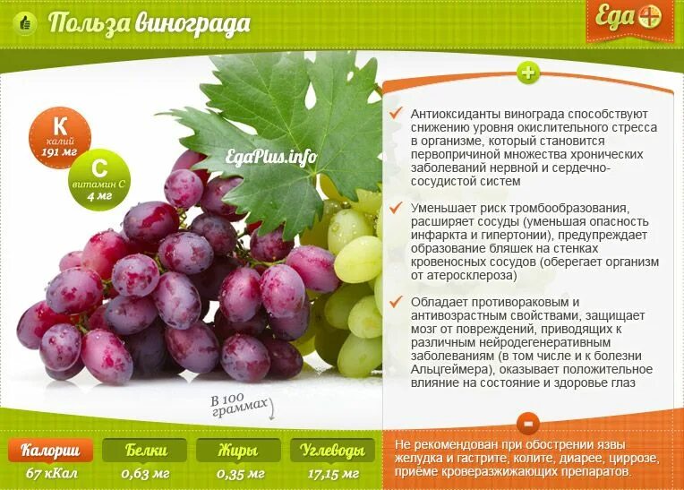 Сколько воды содержится в винограде. Чем полезен виноград. Виноград польза. Виноград полезное витамины. Калорийность сортов винограда.