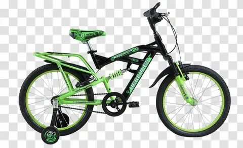 New cycle 2024