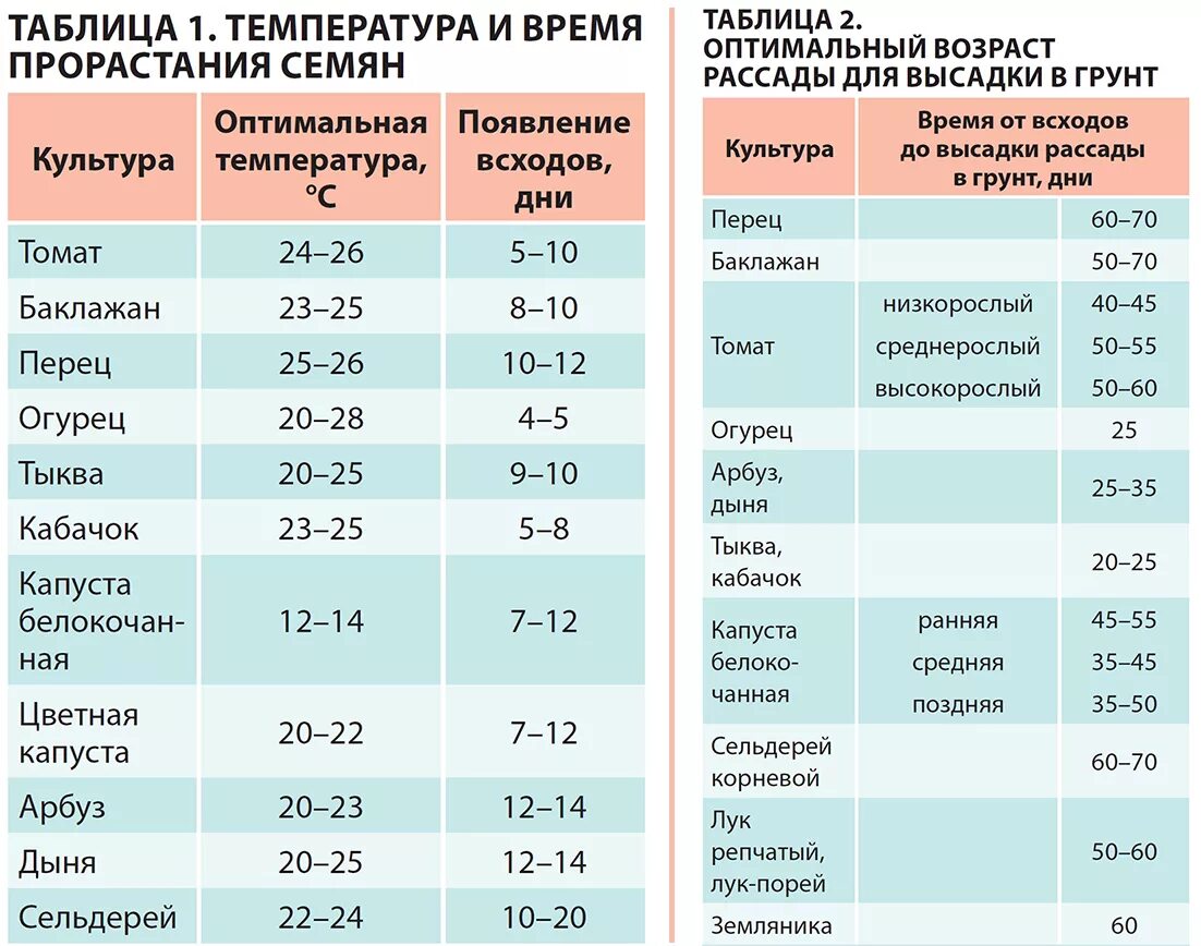 На какую глубину сажать капусту. Даты высадки рассады в грунт томатов в открытый грунт. Температура грунта для высадки рассады огурцов в грунт. Даты посева семян в открытый грунт. Температура посадки семян в открытый грунт.