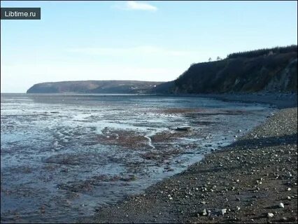 Прилив и отлив гертнера магадан