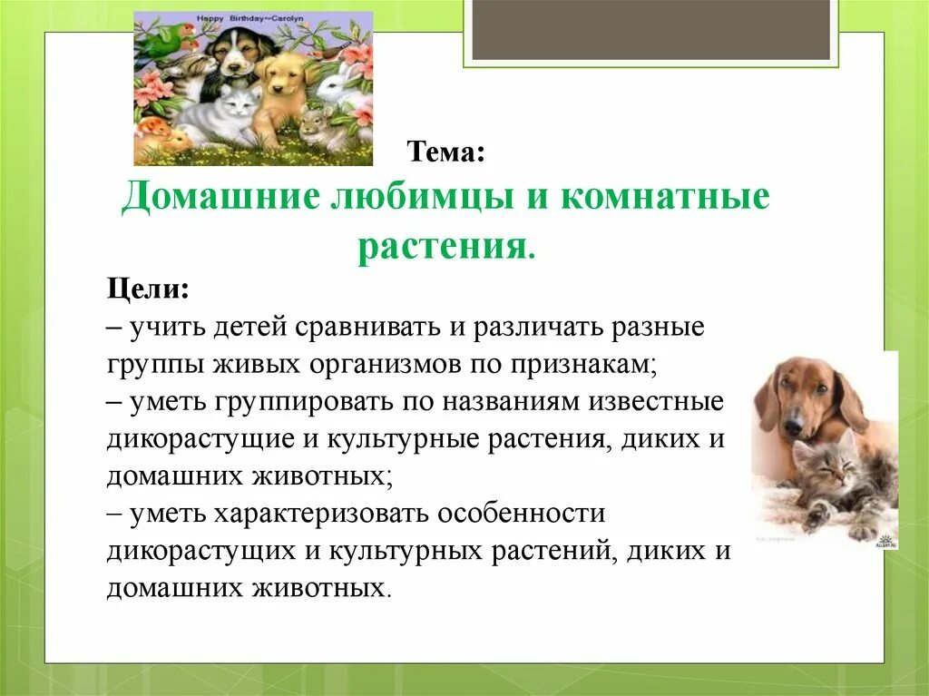 Содержание диких животных в качестве домашних питомцев. Проект на тему домашние любимцы. Проект про домашних питомцев. Цель проекта домашние животные. Слайды для детей о домашних питомцах.