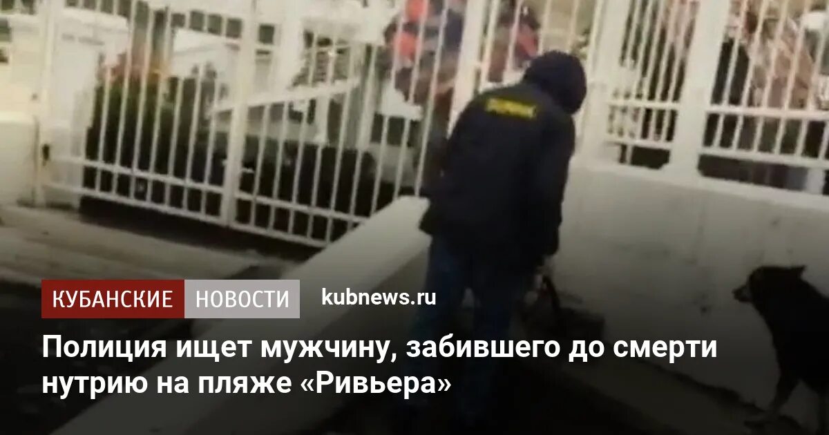 В Петропавловске полиция ищет того кто разрисовал собаку. В петербурге забили мужчину