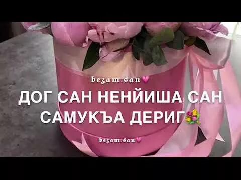 Дика йойла. Нена йиша декъал еш. Декъала йойла Нена йиш. Ненйиша декъал йойла.