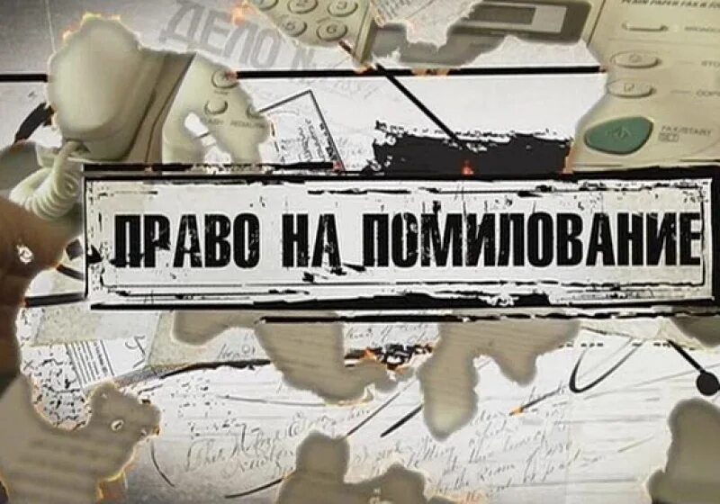 Помилование картинки. Право на помилование. Амнистия картинки. Помилование рисунок. Тема амнистия