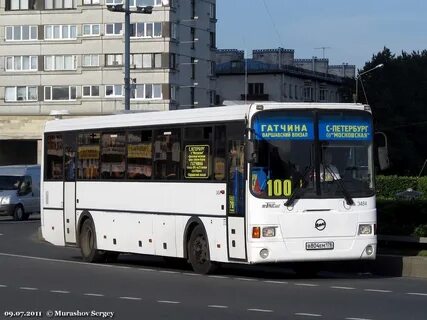 Московская гатчина автобус