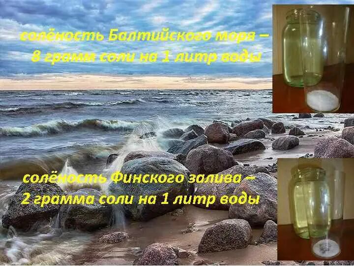 Финский залив соленая вода. Пресная вода Балтийского моря. В финском заливе вода соленая. Пресная и соленая вода. Финский залив соленый или пресный.