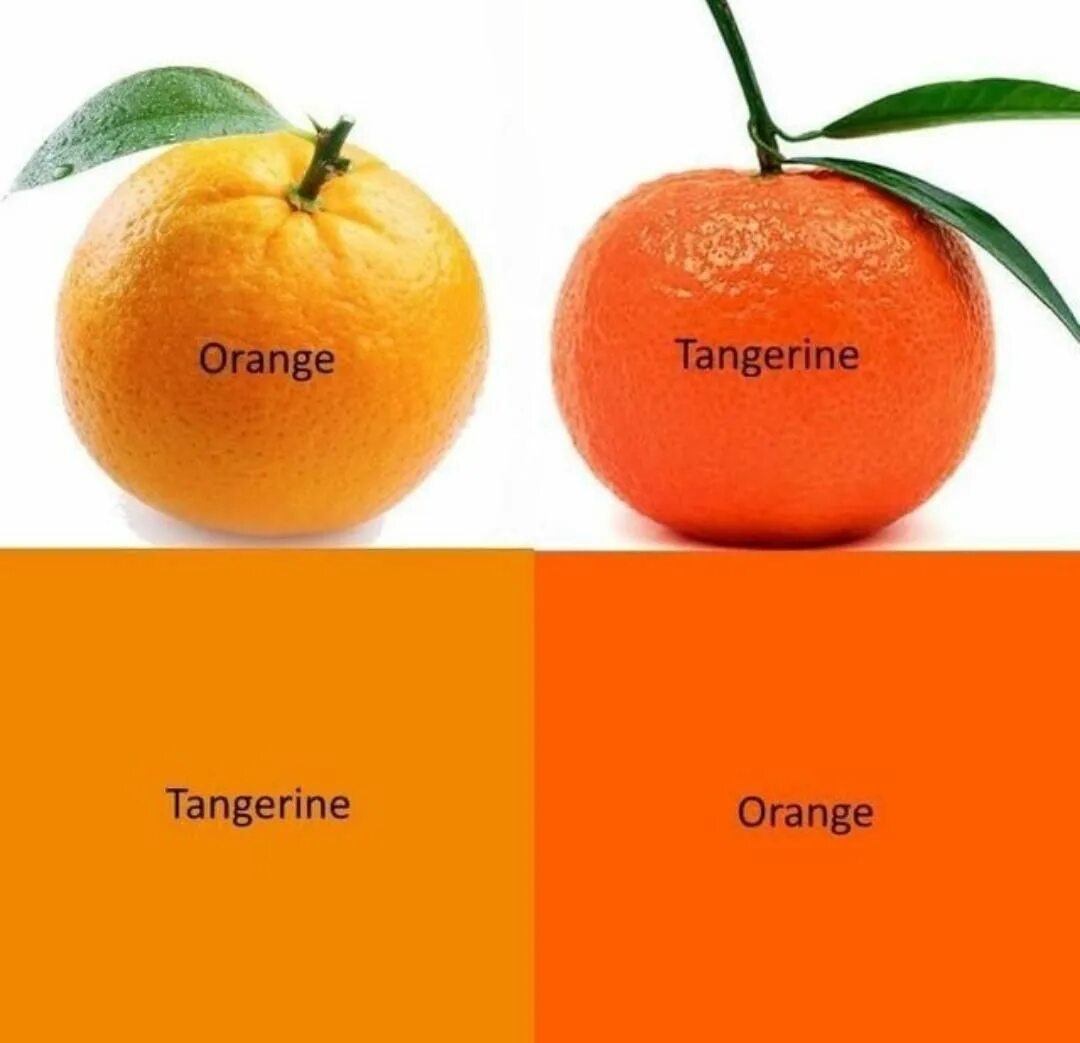 Суть оранжевый. Tangerine цвет. оранжевый и мандариновый цвет. мандарин. tangerine orange цвет.