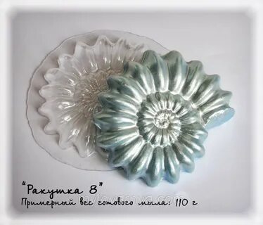 Ракушка 8