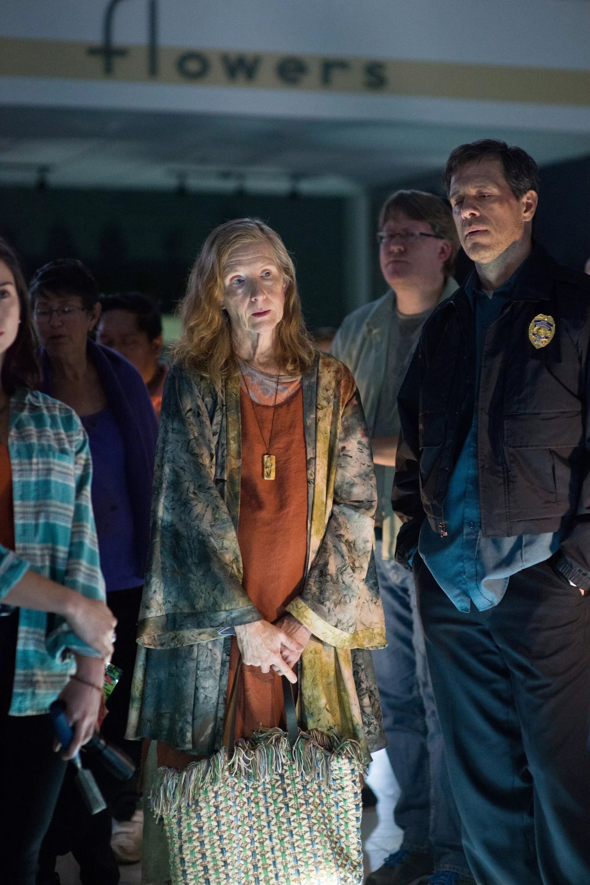 Мгла 2017 отзывы. Фрэнсис конрой мгла. Мгла сериал 2017. Туман сериал mist. Мгла сериал 2017 кадры.