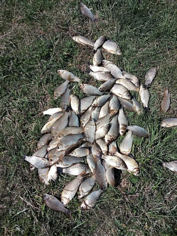 рыбаки шадринска. рыбы курганской области. рыбаки шадринска. рыбаки шадринска. зимняя рыбалка в марте.