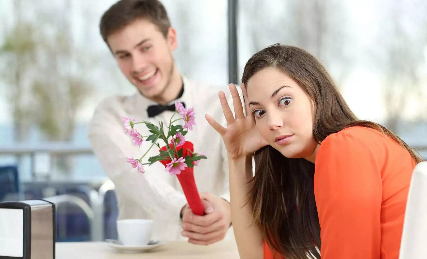 Собачки и кошечки. Эмоции которые дарит человеку общение с животными. Эмоции которые дарит человеку общение с животными. Бонобо спаривание. Общение с питомцами.